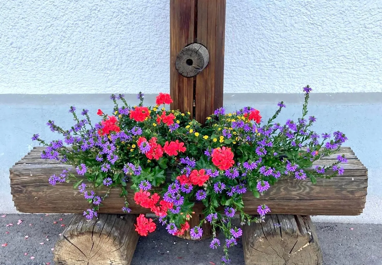 Apartment Ferienwohnung Oberstöberl Bischofswiesen Deutschland